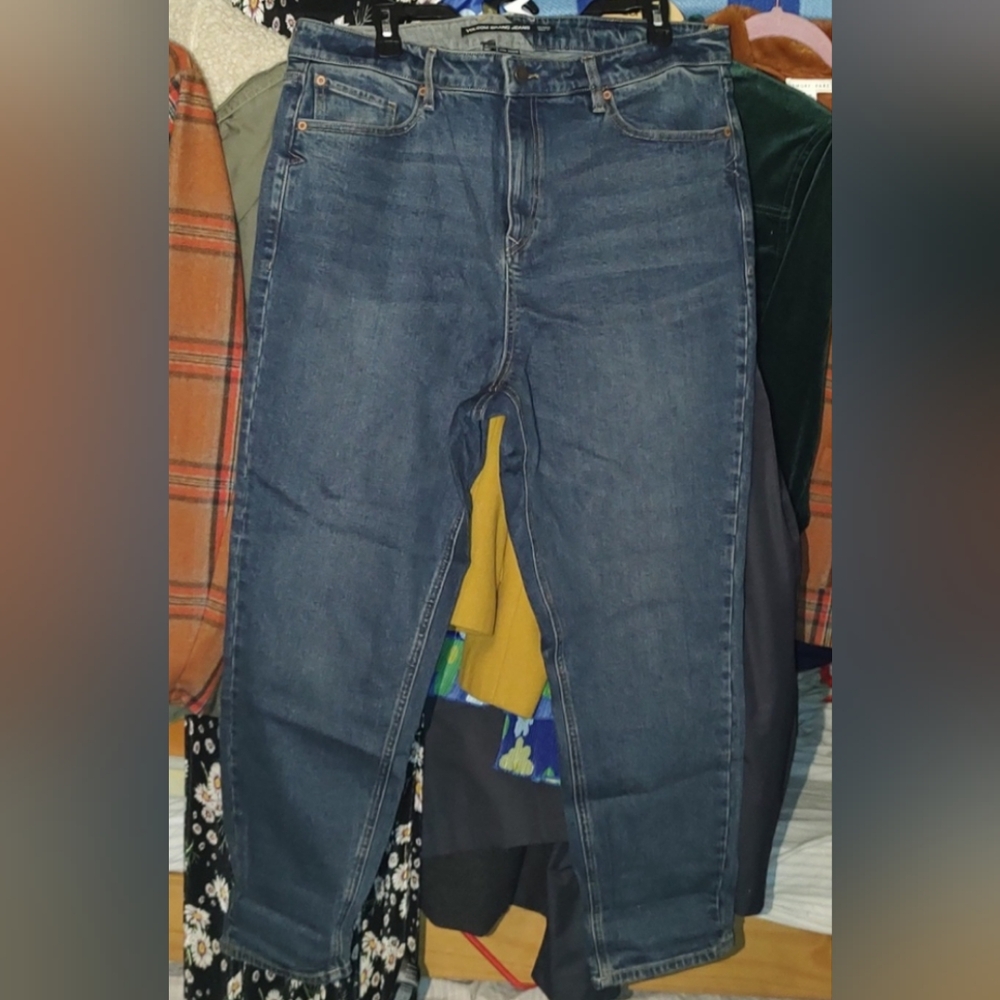 Volcom Girlfriend Fit Ankle Fit Jeans 14w